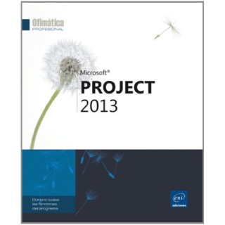 Microsoft Project 2013